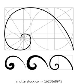 Nautilus Golden Ratio Geometric Spiral Set Vector. Collection Of Designed Split Chambered Nautilus Form Scientific Background. Drawn Helix Shape Mathematics Formula Concept Template Illustrations svg
