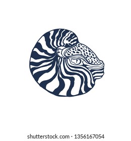 Nautilus, hand drawing, vector illustration isolated on white background