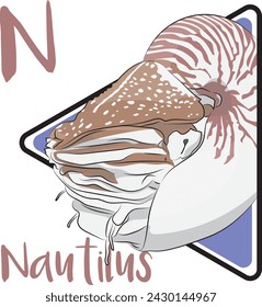 Nautilus is the last surviving genus of the ancient order Nautiloidea. Nautilus swims about the ocean using jet propulsion. Nautiluses have survived relatively unchanged for millions of years.