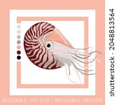 nautilus in minimalistic vector art style