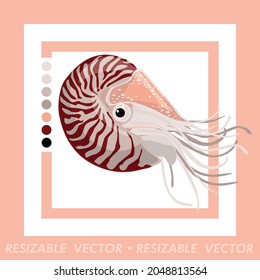 nautilus in minimalistic vector art style
