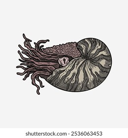 Nautilus octopus squid colorful handmade illustration artwork drawing