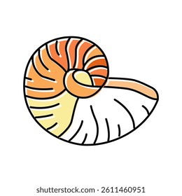 nautilus sea shell beach color icon vector. nautilus sea shell beach sign. isolated symbol illustration