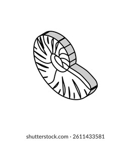 nautilus sea shell beach isometric icon vector. nautilus sea shell beach sign. isolated symbol illustration