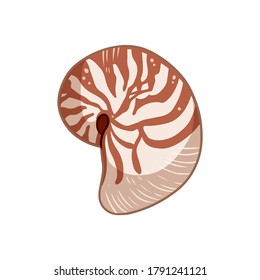 Doodle colorido de la cáscara de Nautilus aislado en ilustración vectorial de fondo blanco. Arte de la concha marina dibujada a mano