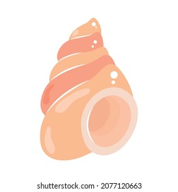 nautilus shell icon white background