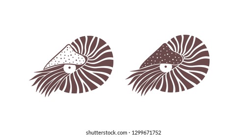 Nautilus shell. Isolated nautilus on white background. EPS 10. Vector illustration