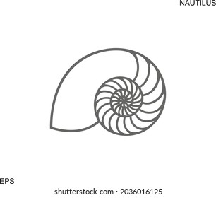 Nautilus shell. Isolated nautilus on white background