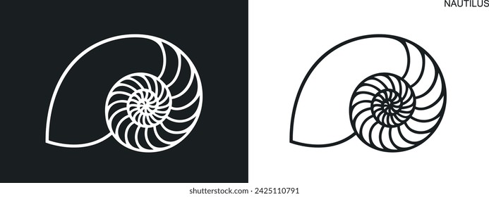 Nautilus shell. Isolated nautilus on white background