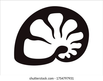 Nautilus shell - logo or pictogram. Nautilus shell - elegant, stylish icon for corporate identity