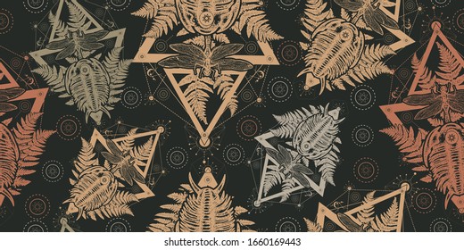 Nautilus-Muschel prähistorisch. Altes Ammoniak.Nahtloses Muster. Verpacken von Altpapier, Scrapbooking-Stil. Vintage-Hintergrund. Mittelalterliches Manuskript, Gravierungskunst. Symbol der Paläontologie, Wissenschaft