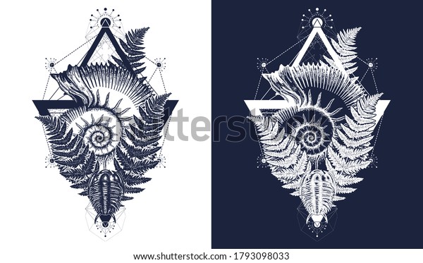 Nautilus Shell Prehistoric Tattoo Art Ancient Stock Vector Royalty Free