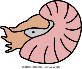 Nautilus-Muschelschalen Seehecht - Seeteufel