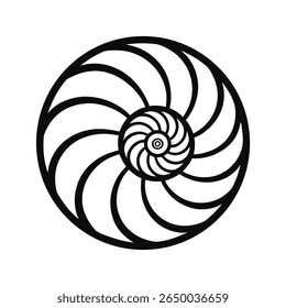 Nautilus shell with spiral design on graphic