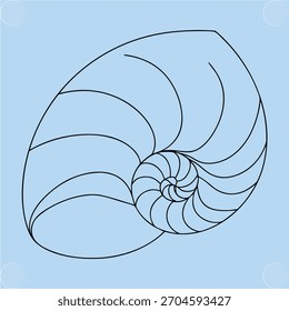 Nautilus Shell Spiral Umriss Hellblaue Muschel