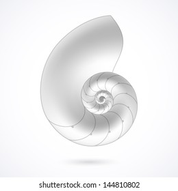 Nautilus shell. Vector. svg