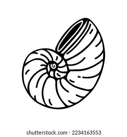 Nautilus shell vector icon. Hand drawn simple doodle isolated on white background. Round seashell, underwater mollusk or snail. Seafood, tasty delicacy. Flat clipart for menu, logo, apps, prints