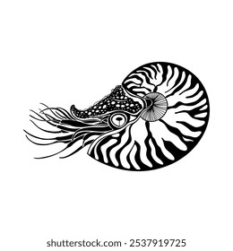 Nautilus. Silhueta no branco.  Ilustração desenhada à mão vetorial.  Excelente para o design de convites, cartões, decoração de menu, impressão, logotipo, clipart e têxteis. Preto e branco.