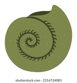 Nautilus, snail seashell illustration, isolated. Cartoon hand drawn flat style design. Summer holidays, vacations, outdoors, beach activity, pool party, seasonal element