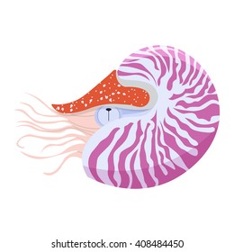 Nautilus vector illustration isolated on a white background