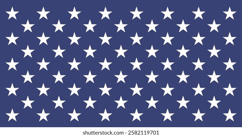 Naval Jack of the United States Flag Vector Illustration Premium Quality