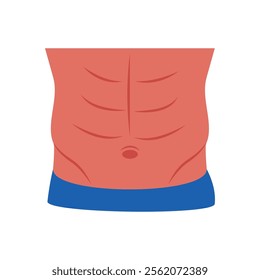 Navel, Human Body Part Illustration