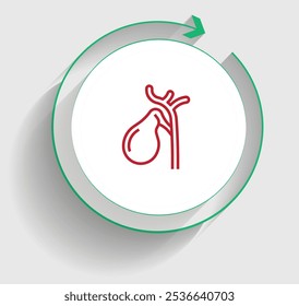 Navigating Gallbladder Disease From Diagnosis to Post-Surgery Recovery