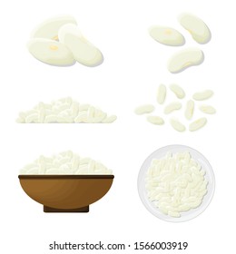 Navy beans set illustration. Vector.