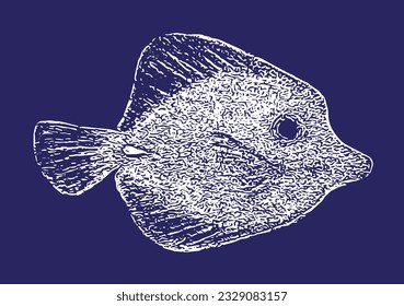 Navy blue and white fish illustration