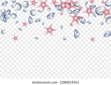 Navy Clam Background Transparent Vector. Scallop Drawn Design. Doodle Graphic. Gray Starfish Cartoon Wallpaper. Ultramarine Seashell.