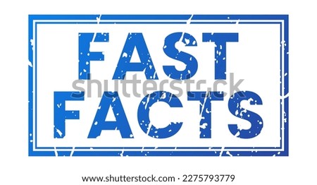 Navy Fast Facts stamp sticker with grunge vector illustration