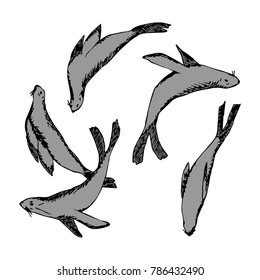 Navy seals vector illustration. Doodle style. Design, print, decor, textile, paper