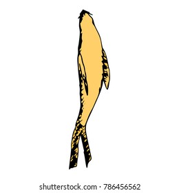 Navy seals vector illustration. Doodle style. Design, print, decor, textile, paper