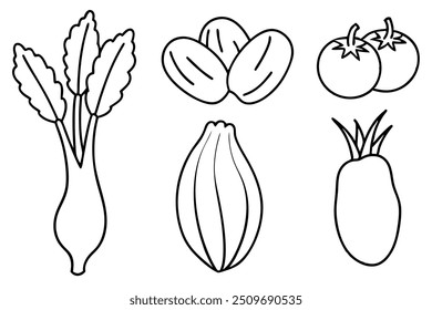 a navy-bean-and-celery lainar vector lllustration