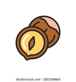 Nazel nut color line icon. Isolated vector element. Outline pictogram for web page, mobile app, promo.
