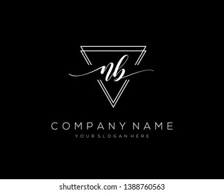 NB handwriting initial  logo vector