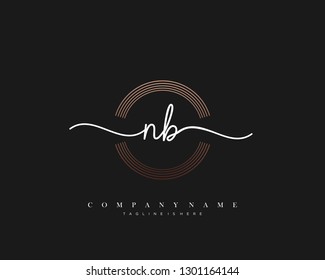 NB initial handwriting logo template vector