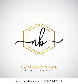 NB Initial Handwriting logo template vector