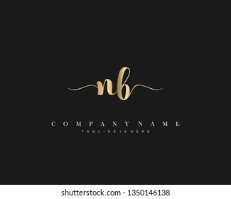 NB initial handwriting logo template with luxury color vector