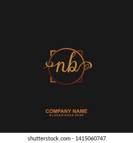 NB Initial handwriting logo vector