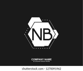 NB Initial letter geometric logo vector 