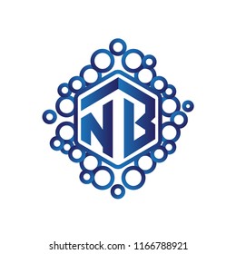 NB Initial letter hexagonal logo vector
