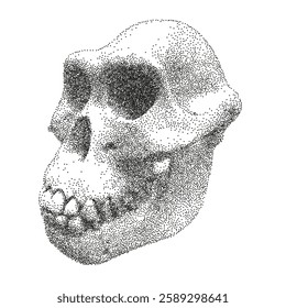 Neanderthal Skull with halftone stipple effect. Realistic human skull in photocopy vector effect. Collage element in trendy grunge y2k style.