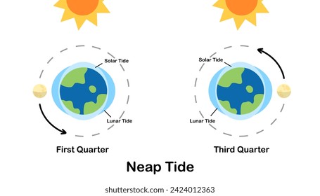 Flut. Mond Gezeiten, Mond Gezeiten. Der Gezeitenkartoon der Erde. Infografik der Astronomie, Bildung, Banner, Hintergrund, Diagramm. Vektorgrafik und Illustration.