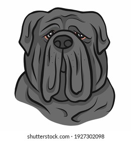 Neapolitan Mastiff dog face cartoon vector illustration