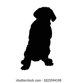 Neapolitan Mastiff Dog Standing On a Front View Silhouette Found In Map Of Europe. 