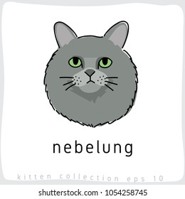 Nebelung : Cat Breed Collection : Vector Illustration