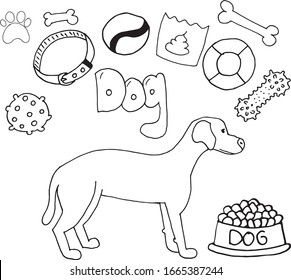 Necessary equipment for walking with dog. Simple line hand drawn illustrations in doodle cartoon style isolated on white. Toys, bones, lettering, animal, collar, food and poop bag