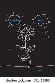  Necessary things for plants