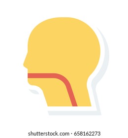 neck
